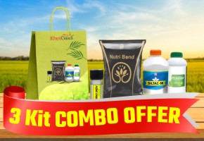 Growth Special Plus Kit Combo